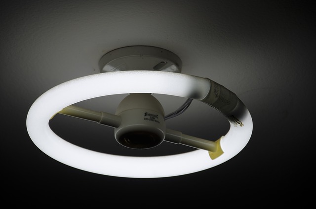 tubo fluorescente redondo